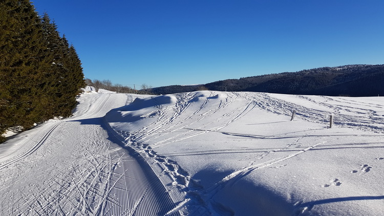 La Bresse été : www.petitecaille.fr